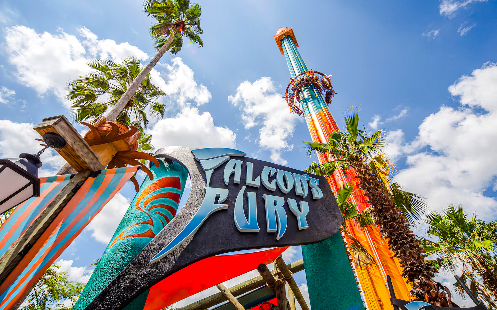 Falcon's Fury ride at Busch Gardens Tampa with palm trees and blue sky.