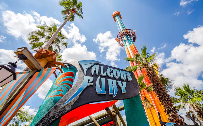 Falcon's Fury ride at Busch Gardens Tampa with palm trees and blue sky.