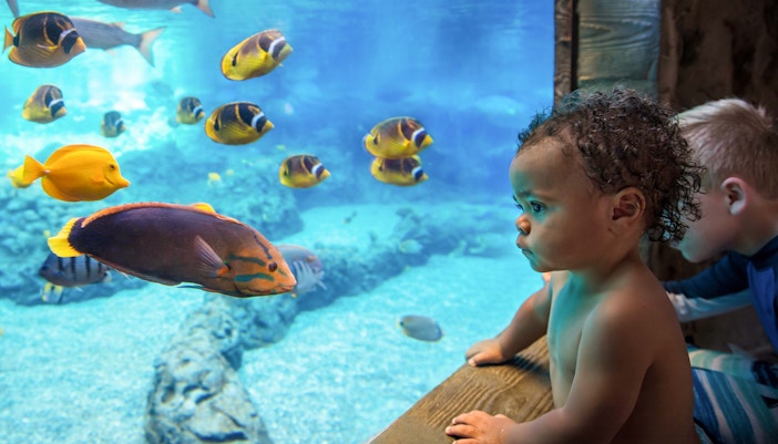 New Year in Orlando - Sea Life Aquarium