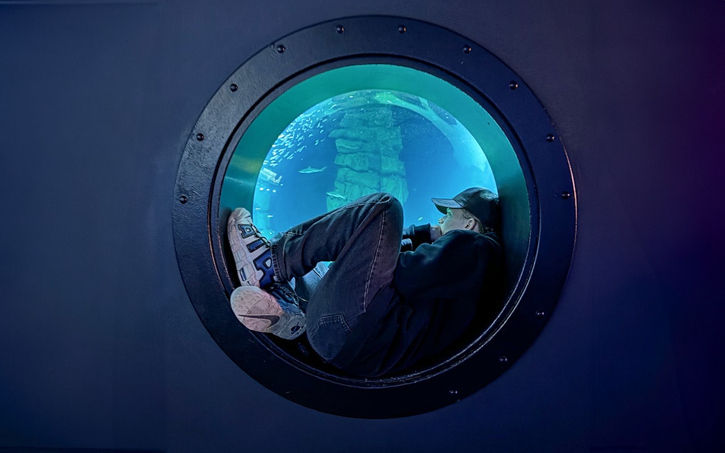 Person observing fish through a porthole at Aquarium de Paris.