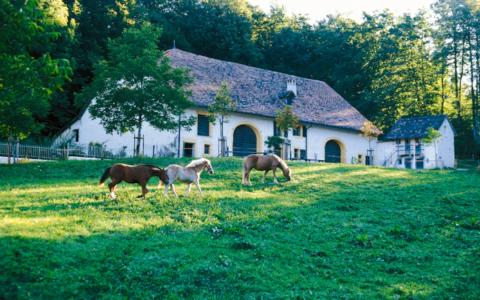 Ballenberg Swiss Open-Air Museum Tickets