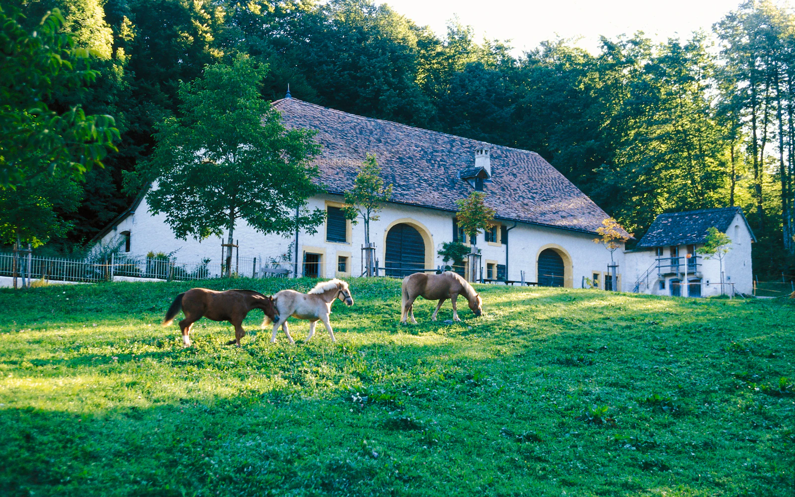 Ballenberg Swiss Open-Air Museum Tickets Image 3