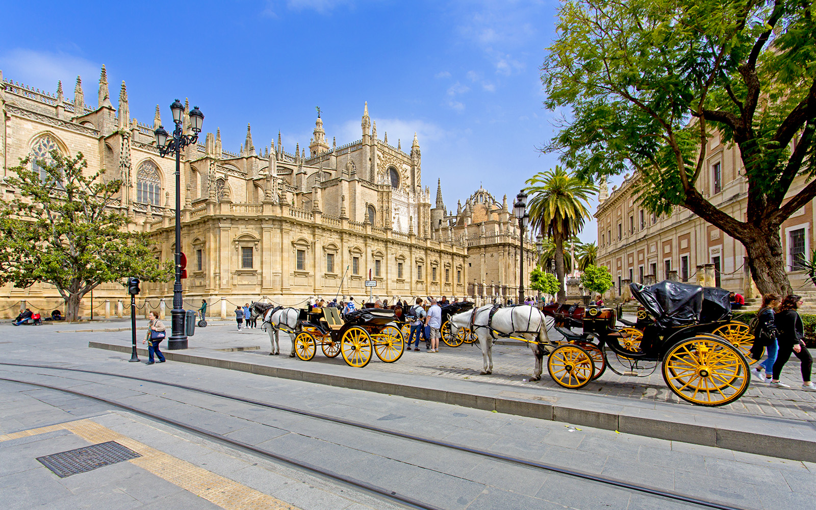 Horse-drawn carriages in front of Seville Cathedral, Spain.