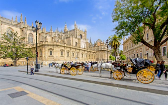 Horse-drawn carriages in front of Seville Cathedral, Spain.