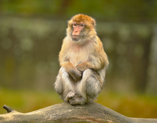 Wroclaw Zoo highlights