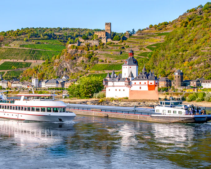 From Frankfurt: Rhine Valley Day Trip