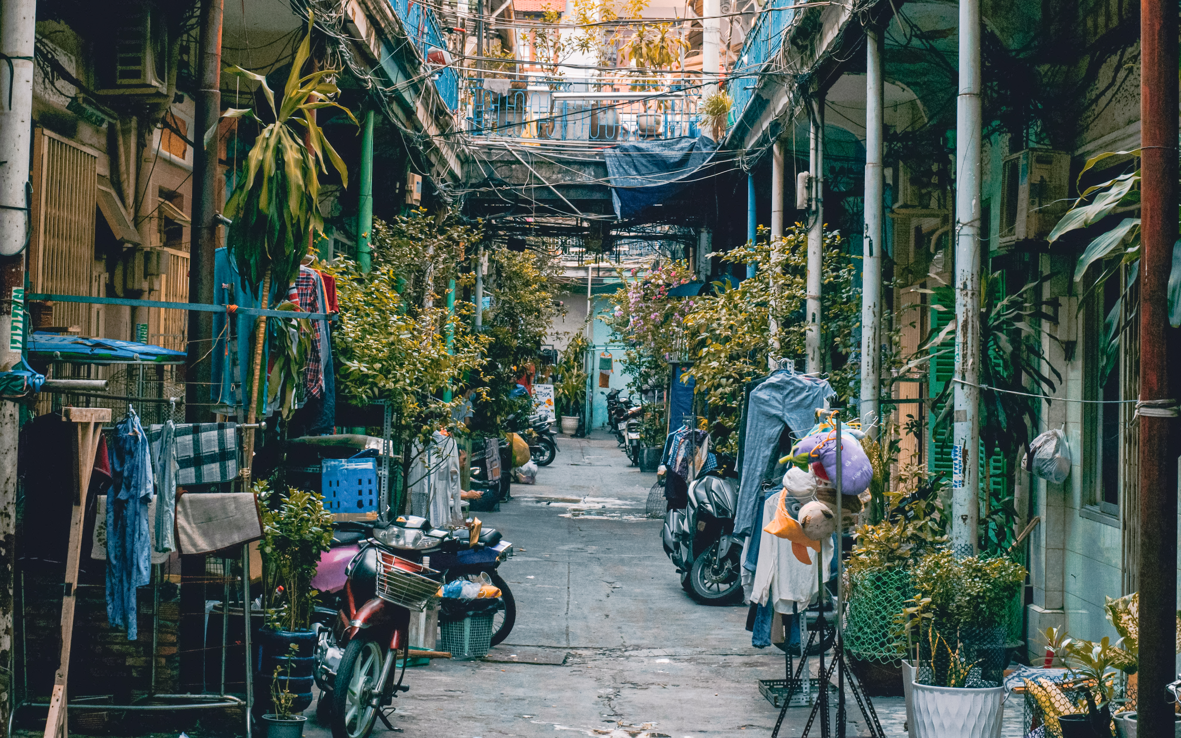 Hao Si Phuong-gränd