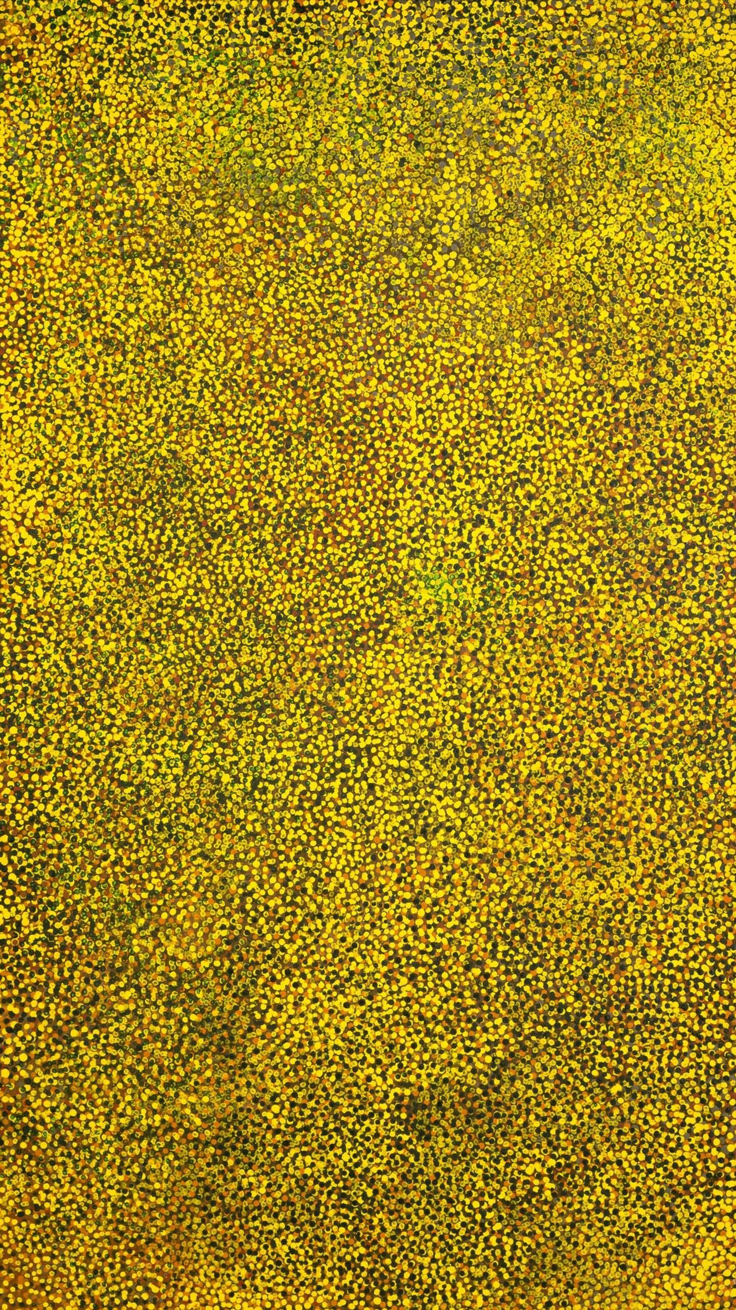 Abstract yellow dot painting by Emily Kame Kngwarreye at Tate Modern.