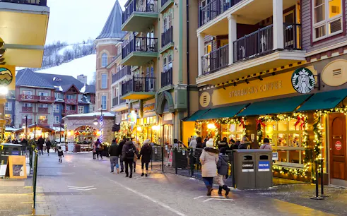 dagstur fra toronto til blue mountain med adgangsbillet til hele dagen-1