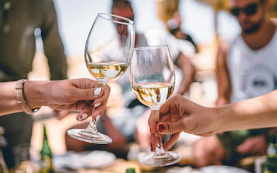 Cheers with wine glasses during Haarlem beer tour.