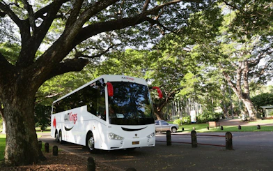 Tour bus parked under trees for Adelaide River Jumping Crocodile Cruise.