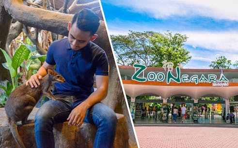 Combo (Réduction de 14 %): KL Tower Mini Zoo + Zoo Negara Tickets