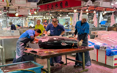 Workers preparing tuna at Adachi Fish Market, Tokyo.
