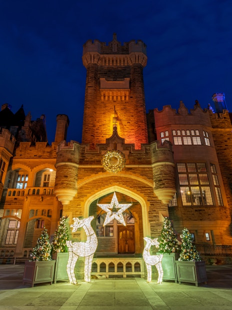 city sightseeing: toronto night bus tour-5