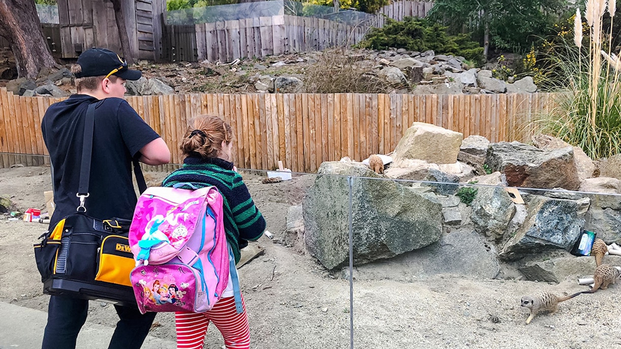 Children watching meerkats at Edinburgh Zoo enclosure.