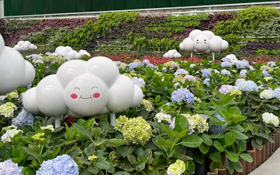 Whimsical cloud sculptures among hydrangeas at Eufloria Gardens & Sculpture Park.