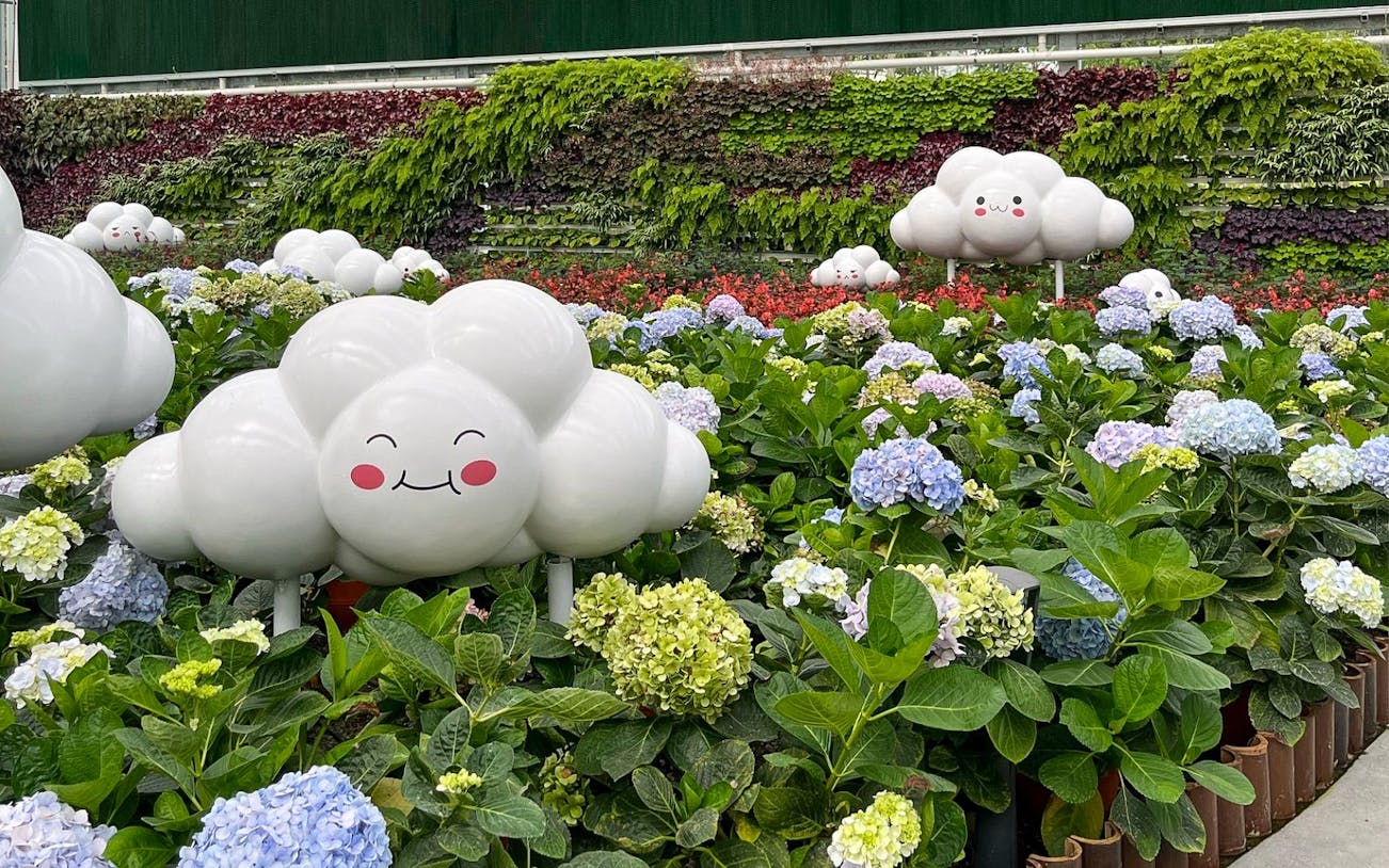 Whimsical cloud sculptures among hydrangeas at Eufloria Gardens & Sculpture Park.