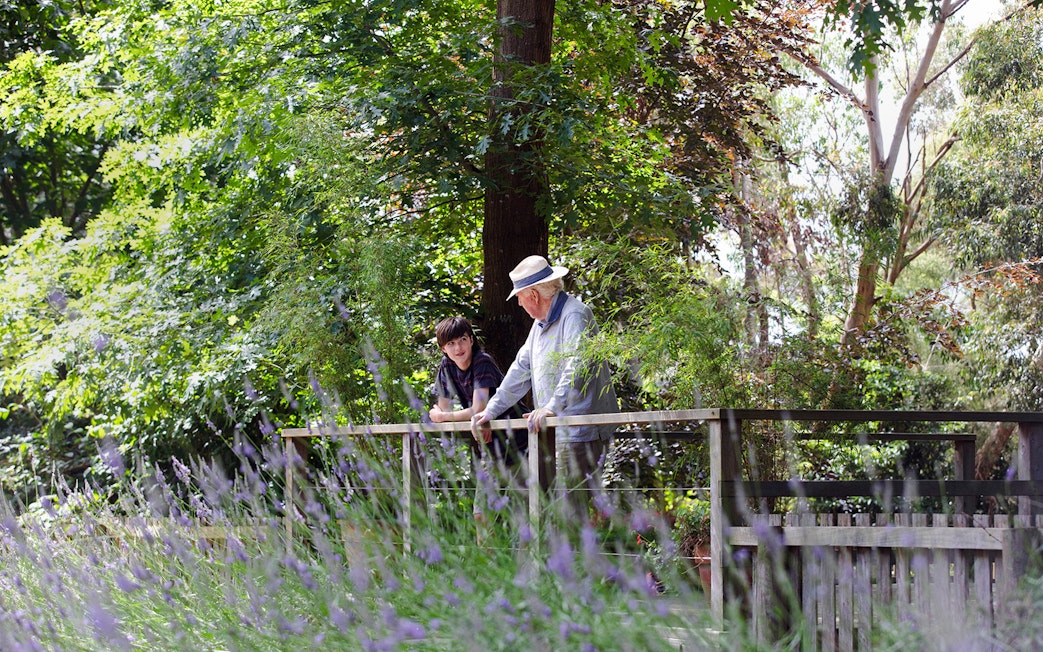 Tourists enjoying the view at Aschombe Maze & Lavender Gardens.