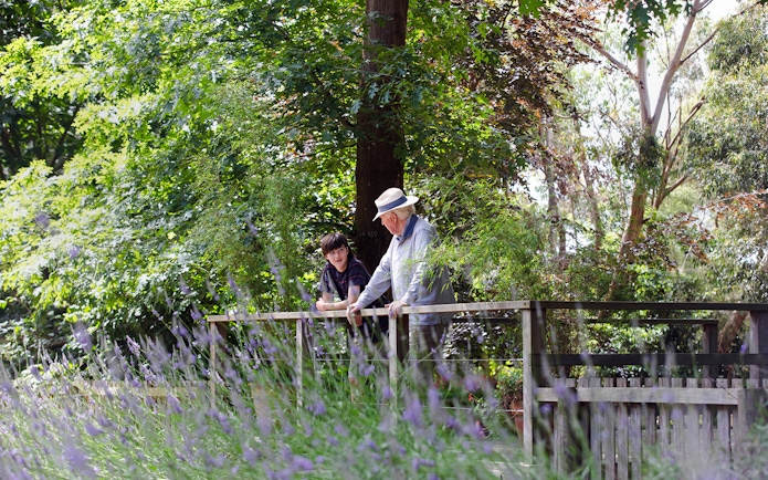Tourists enjoying the view at Aschombe Maze & Lavender Gardens.