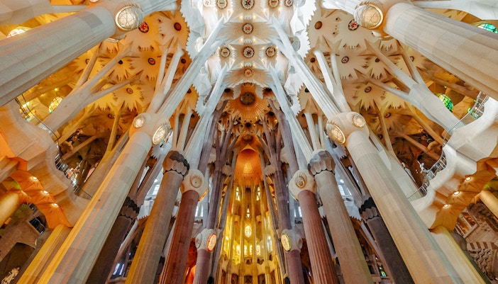 Sagrada Familia interior view with towering columns and intricate ceiling design in Barcelona.