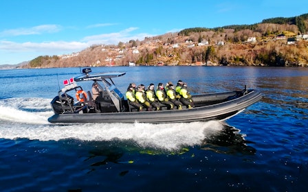 From Bergen: Alversund Fjord Premium RIB Safari