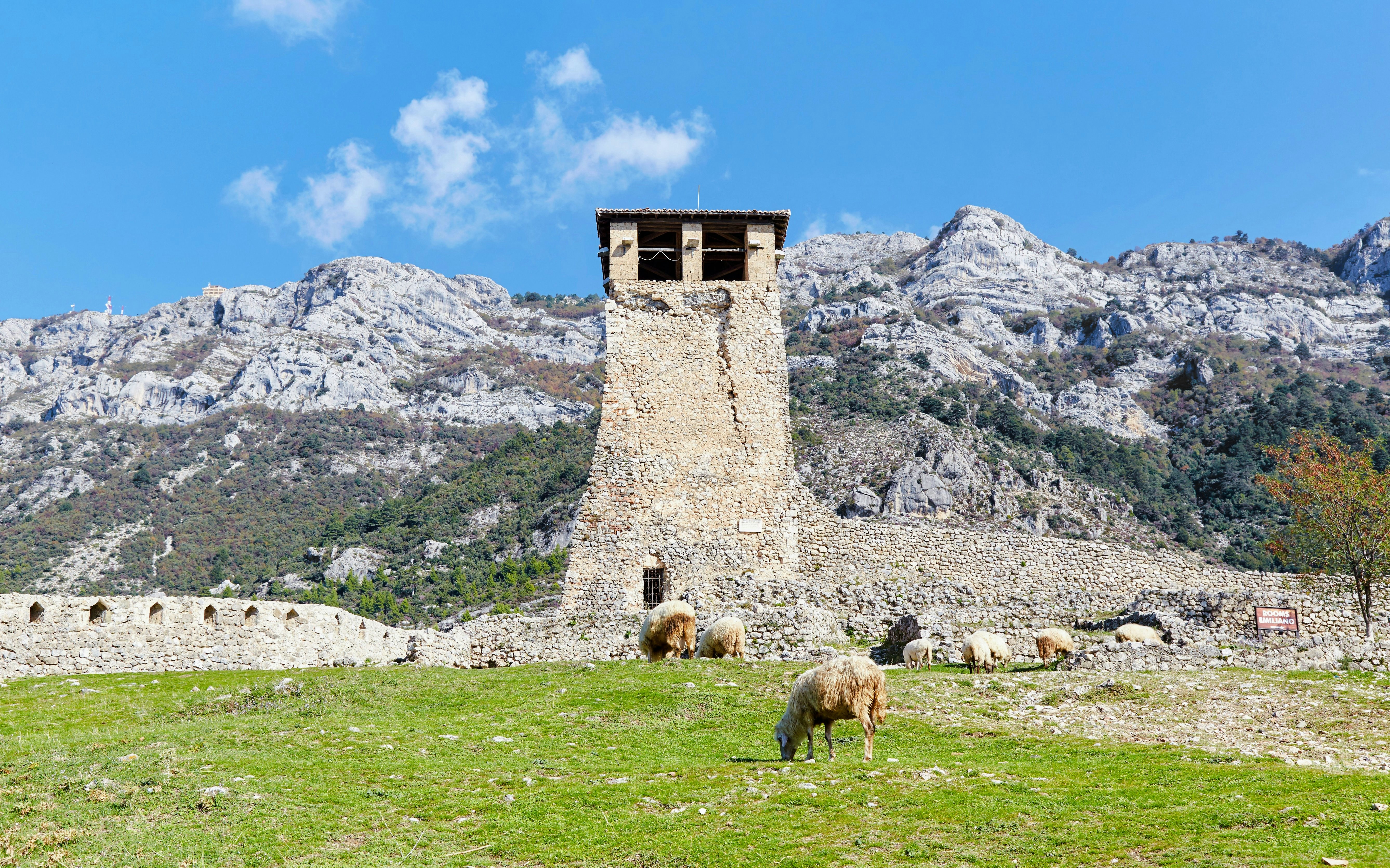 Kruje Castle tower with grazing sheep and mountain backdrop, Albania.
