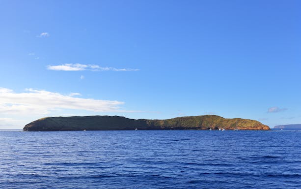 Molokini Crater in Maui, Hawaii, surrounded by blue ocean under a clear sky.
