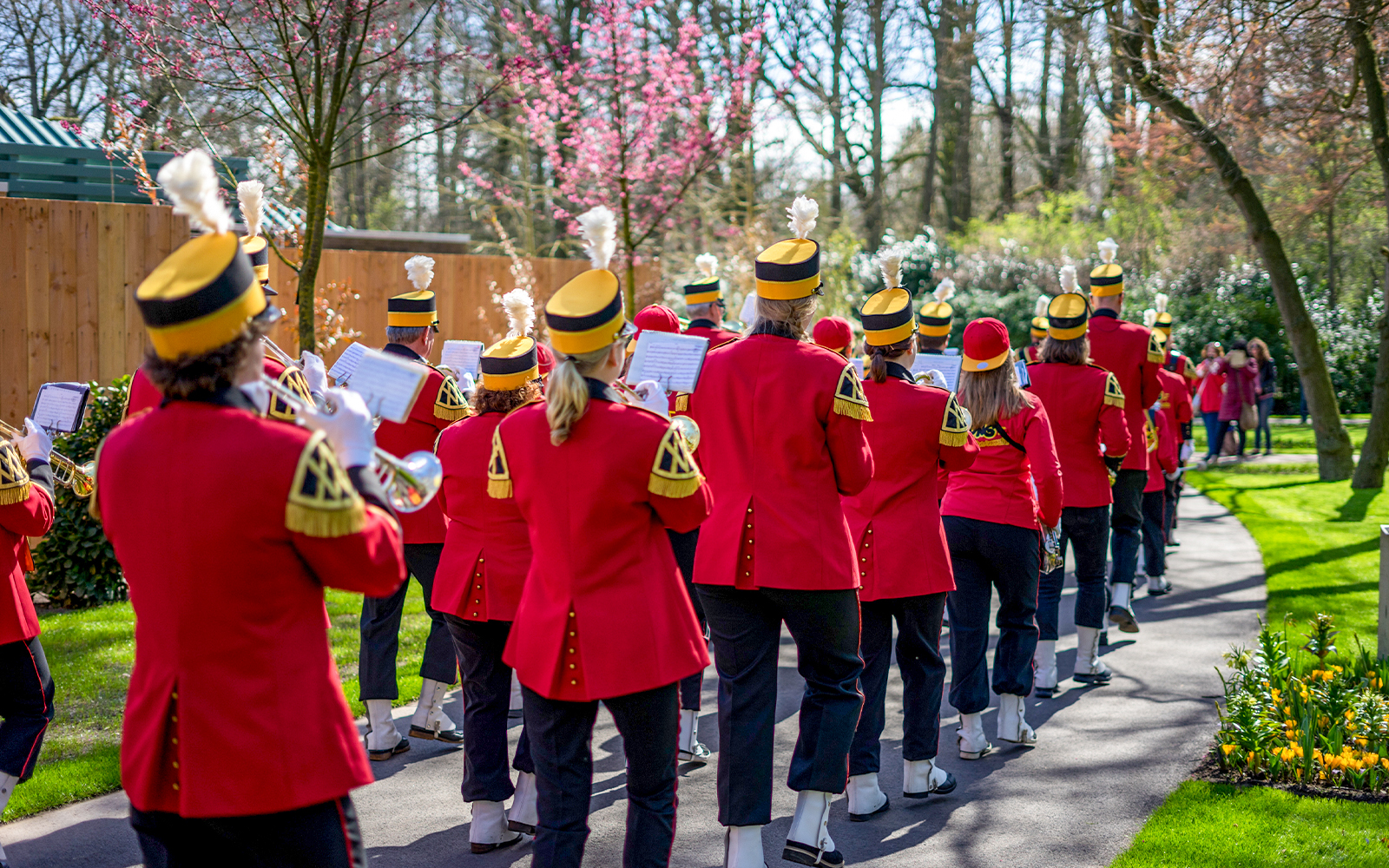 parade band standing in a flower garden in the Netherlands.