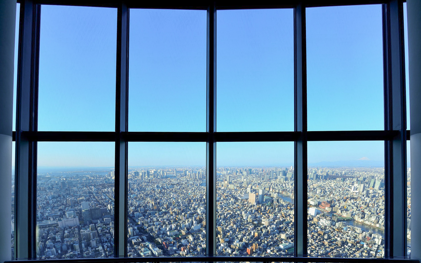View of Tokyo cityscape from Tokyo Skytree observation deck.