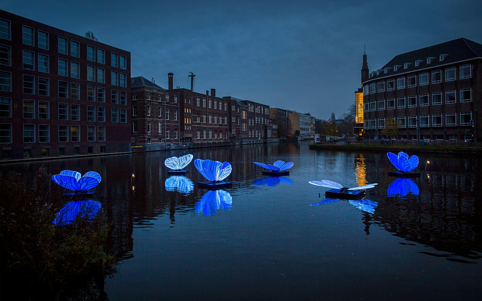 Amsterdam canal boat passing illuminated art installations during Light Festival.