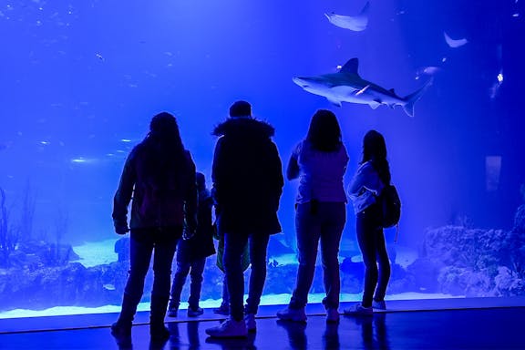 biglietti per l'acquario atlantis di madrid: salta la coda-1