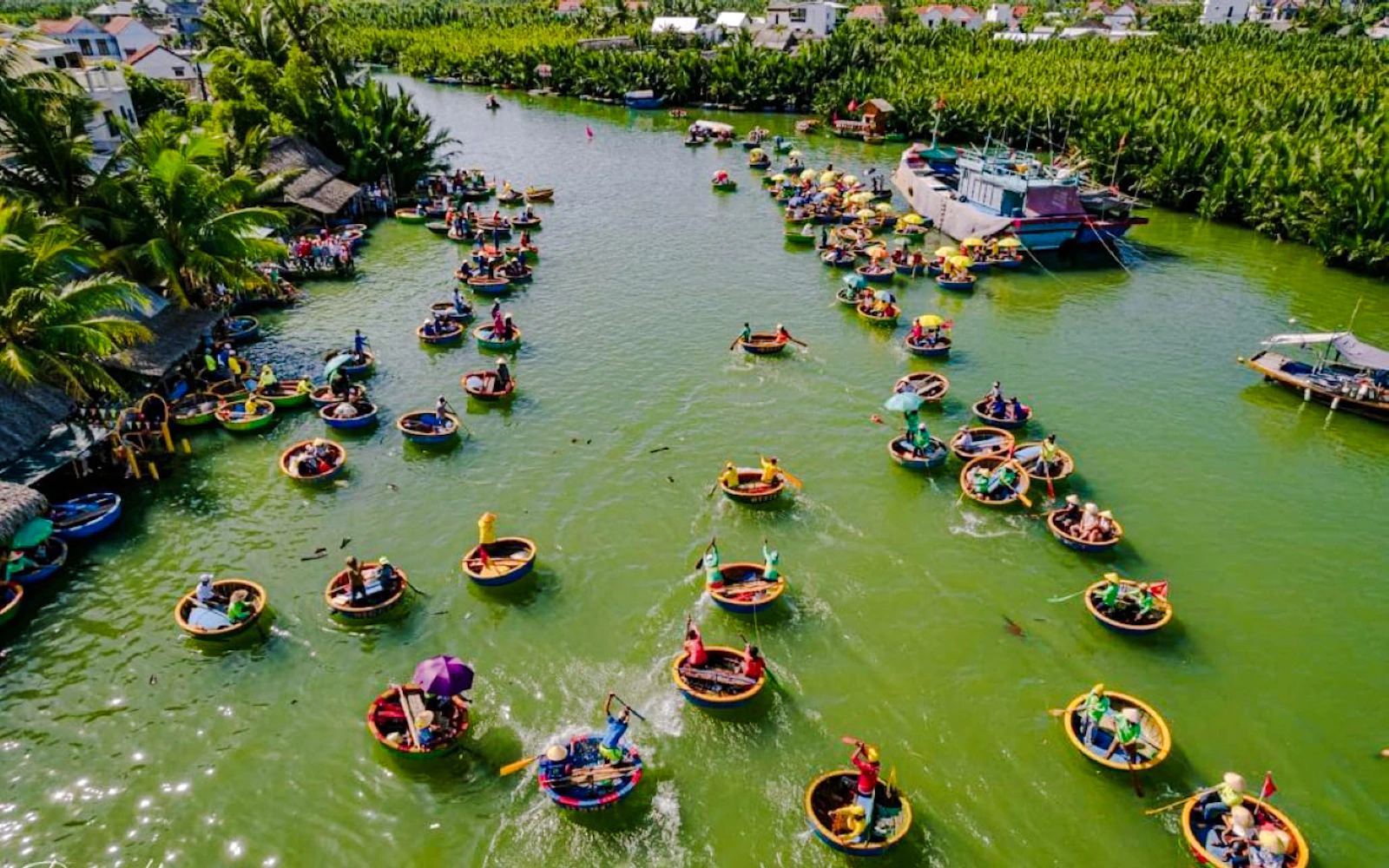 Hoi An Ancient Town and Cam Thanh Coconut Forest Private Tour with Basket Boat Ride
