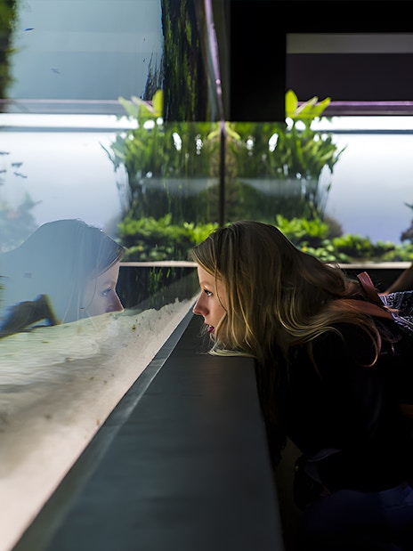 Women observing underwater forest exhibit at Lisbon Oceanarium.