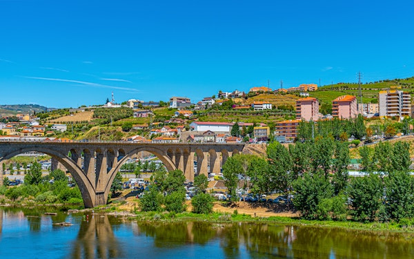 Historic Douro Valley Guided Tour with 1-Hour Pinhão Cruise, Traditional Lunch & Wine Tastings