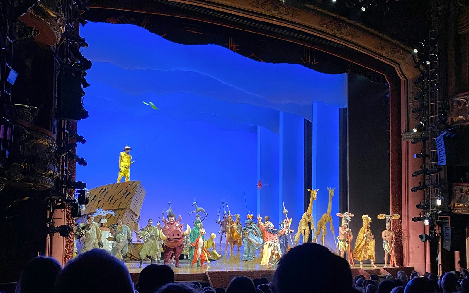 "Section: Stalls
Seat: R 40
Date: Aug 9, 2024
Show: Lion King"