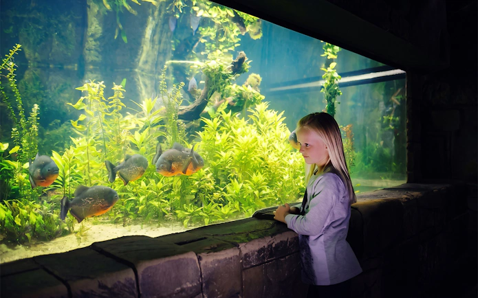Girl observing fish in aquarium at Sea Life New Jersey.
