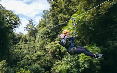 Person ziplining through lush Rotorua forest.