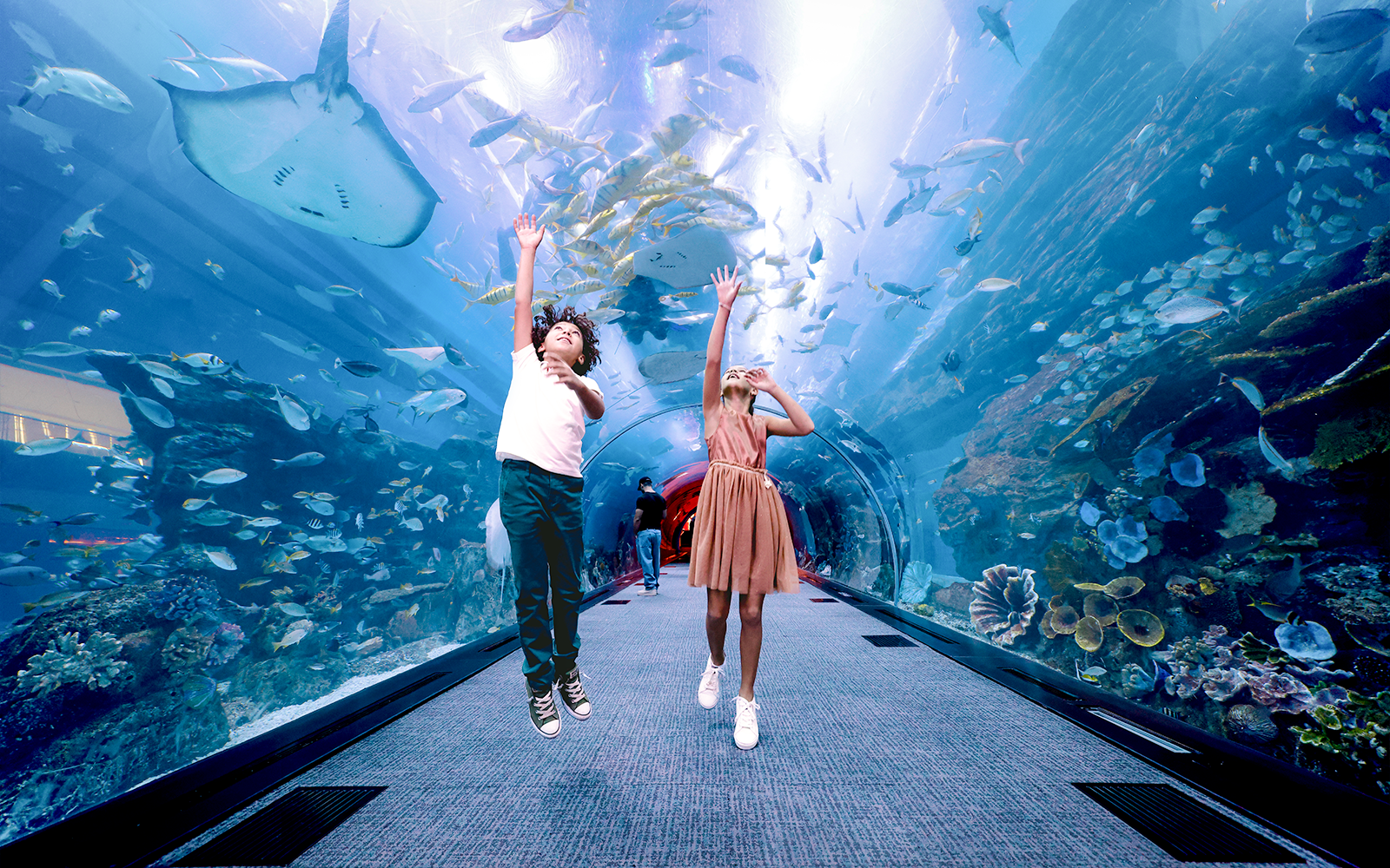 Dubai Aquarium & Underwater Zoo with Penguin Cove Tickets