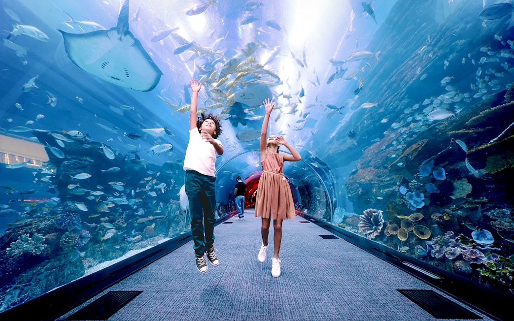 Kids exploring underwater tunnel at Dubai Aquarium with marine life above.