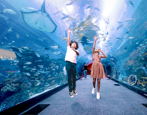 Dubai Aquarium