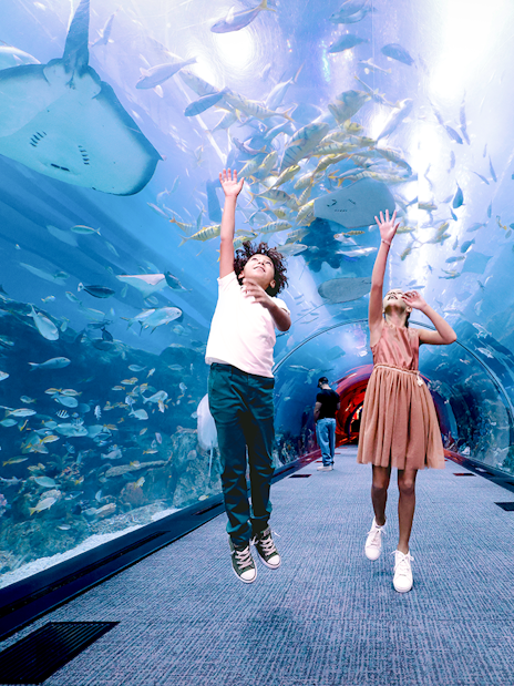 Kids exploring underwater tunnel at Dubai Aquarium with marine life above.