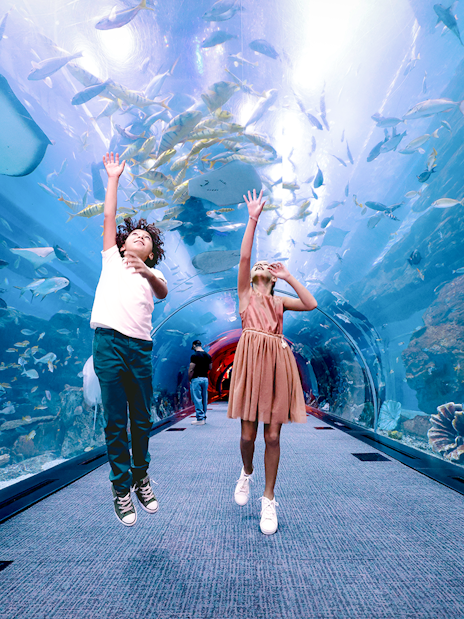 Kids exploring underwater tunnel at Dubai Aquarium with marine life above.