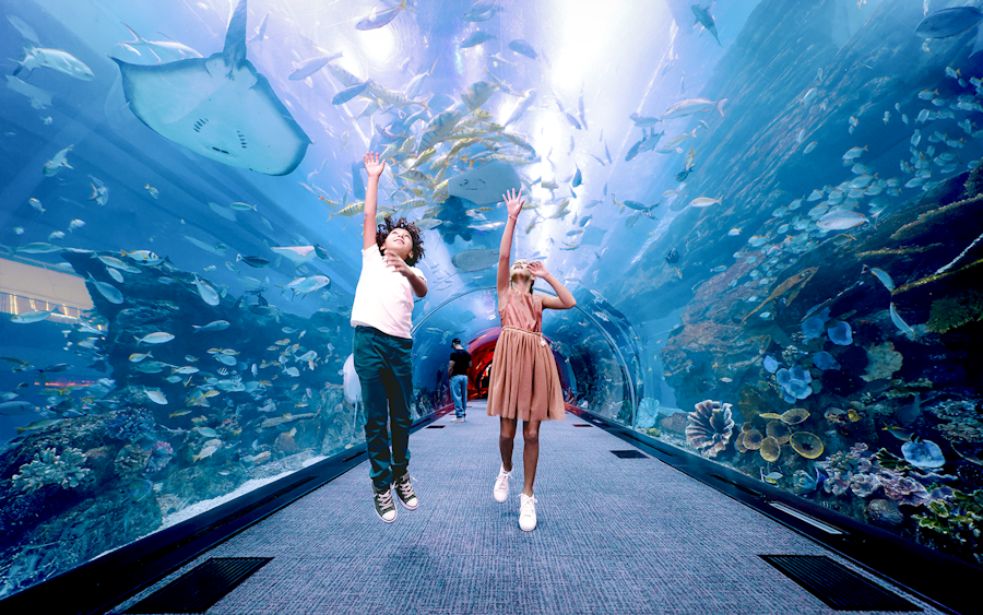Book Dubai Aquarium Underwater Zoo Tickets Save 22%