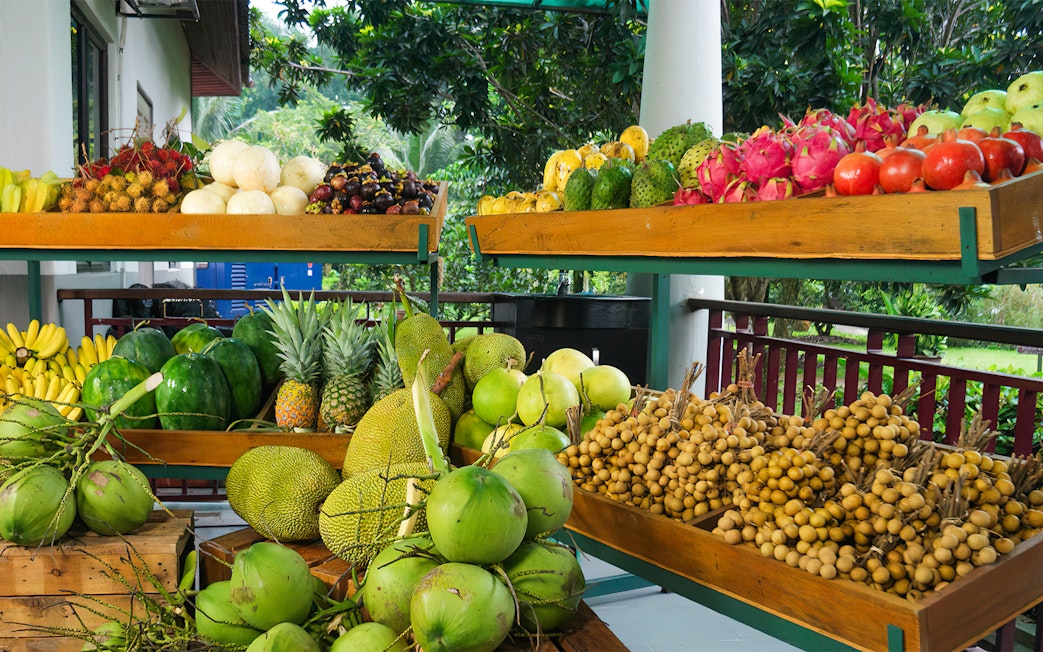 Tropical fruits displayed at Selangor Fruit Valley, including coconuts, pineapples, and dragon fruits.