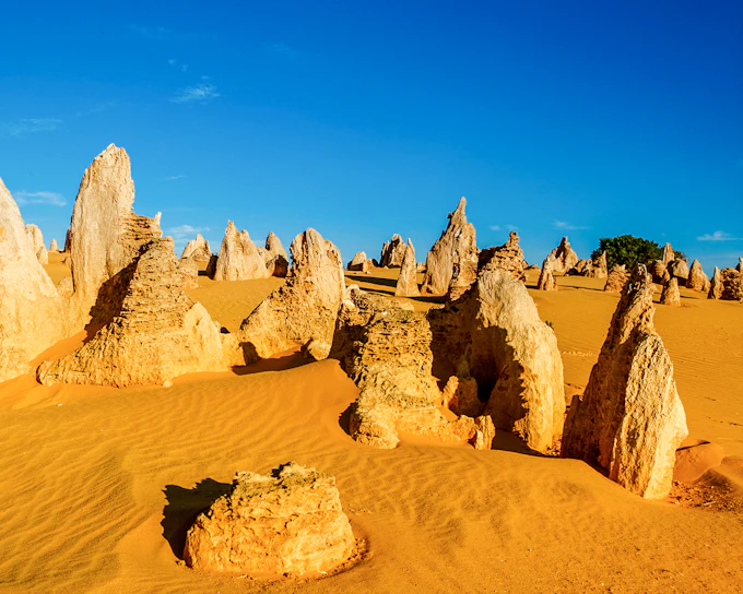Pinnacles, Wildlife Spotting & Swan Valley Tour with Round-Trip Transfers & Lunch