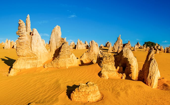 Limestone formations in Pinnacles Desert, Nambung National Park, Western Australia.