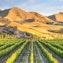 Waipara Valley