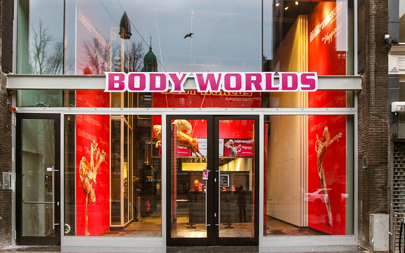 Body Worlds Amsterdam entrance with anatomical exhibits visible through glass doors.