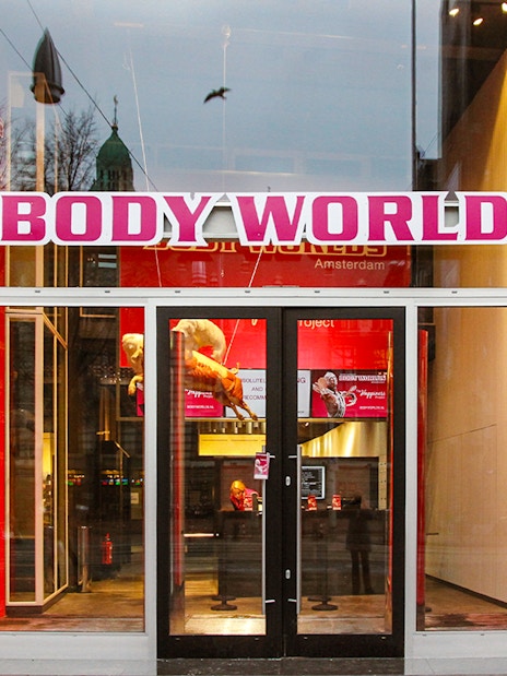 Body Worlds Amsterdam entrance with anatomical exhibits visible through glass doors.