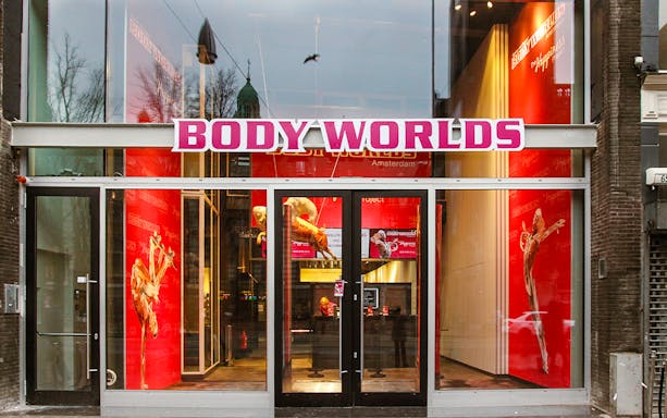 Body Worlds Amsterdam entrance with anatomical exhibits visible through glass doors.